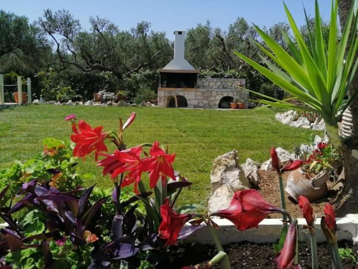 Villa Sotiris كيساموس المظهر الخارجي الصورة